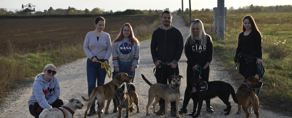 Fenntarthatóság az építőiparban