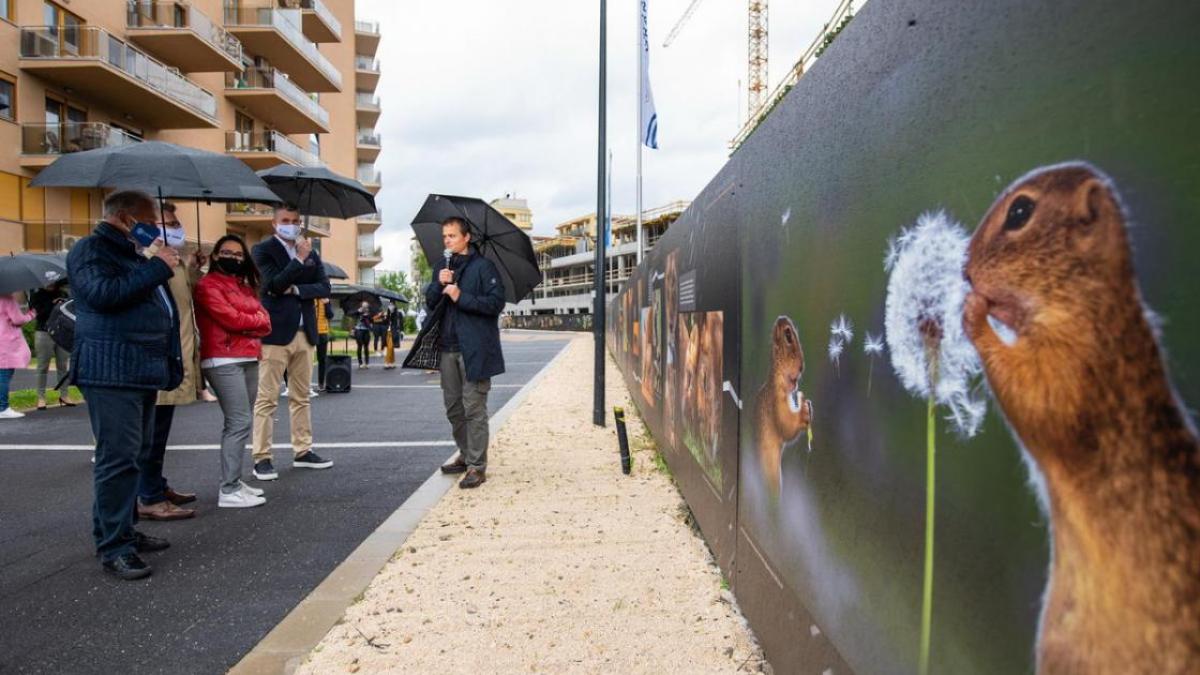 Zöldebbé válhat az építőipar