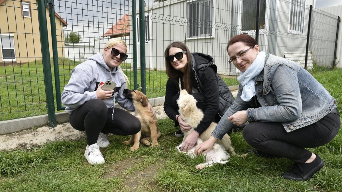 Adománnyal segítettünk