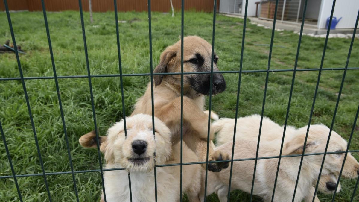 Adománnyal segítettünk