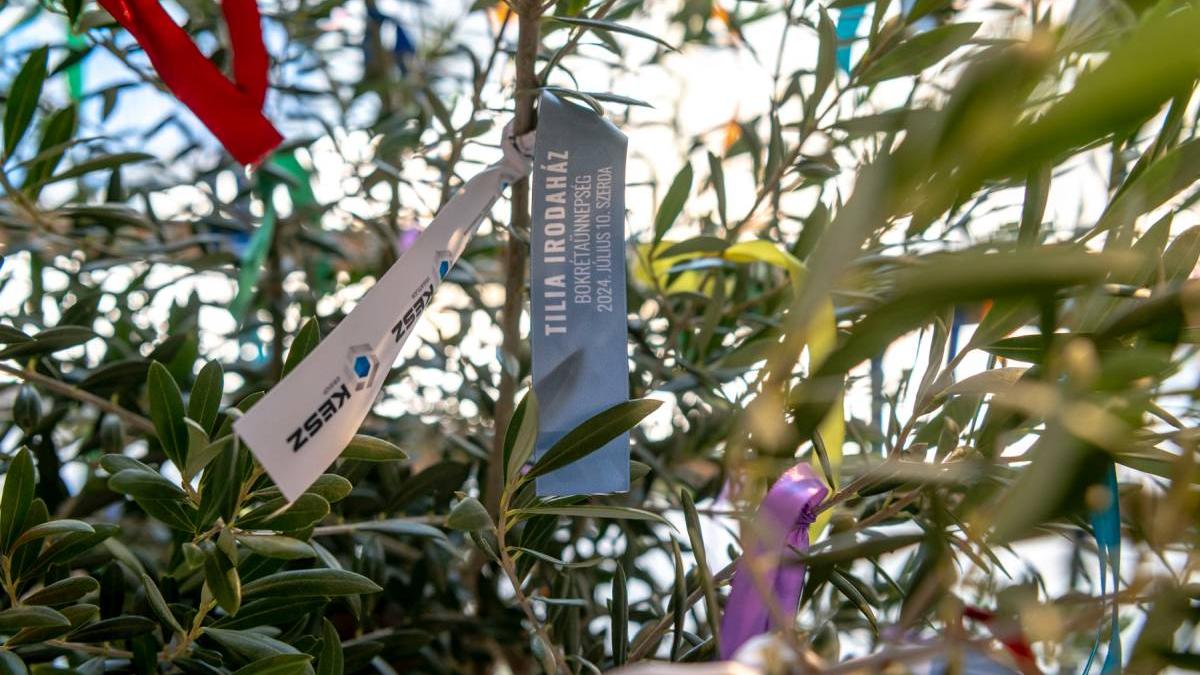 Bokrétaünnepséget tartott a KÉSZ Csoport - Szerkezetkész Szeged legújabb irodaháza, a TILIA