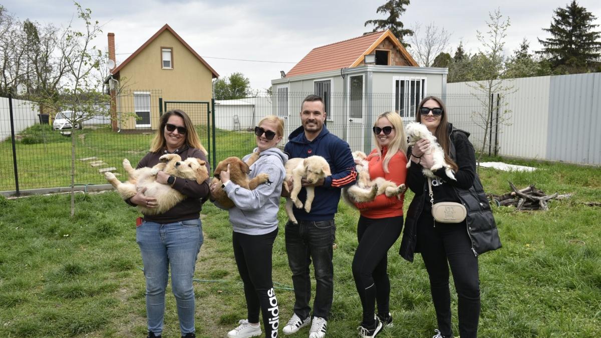 Adománnyal segítettünk