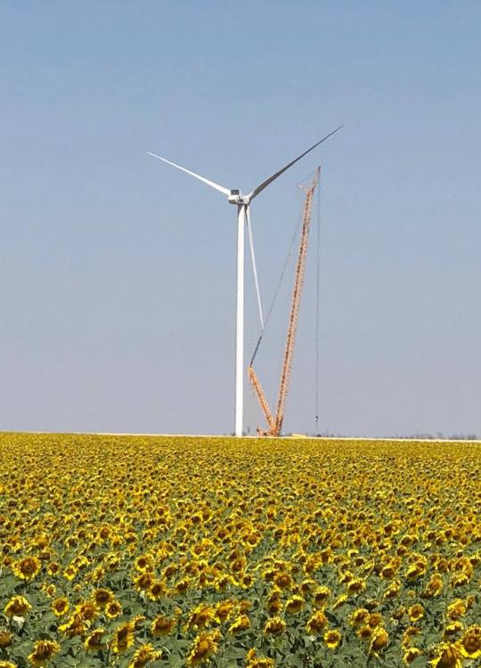 Wind Power Plant Farm